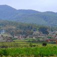 金家寨村(雲南師宗縣丹鳳鎮下轄村) 金家寨村(雲南師宗縣丹鳳鎮下轄村)