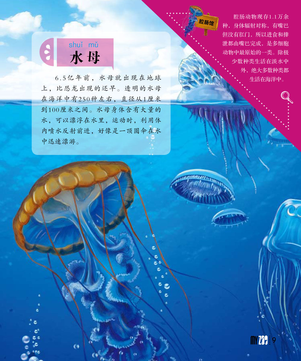 中國哺乳動物彩色圖鑑