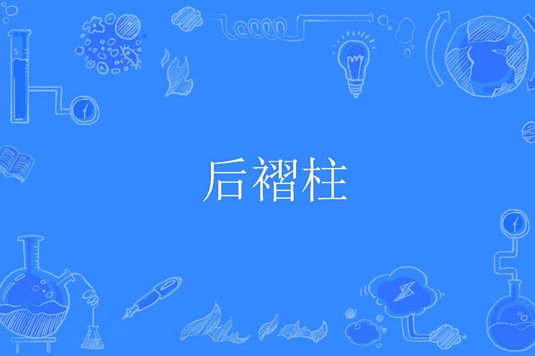 後褶柱 後褶柱