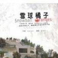 雪球橘子 雪球橘子