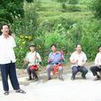 鳳縣民歌 鳳縣民歌