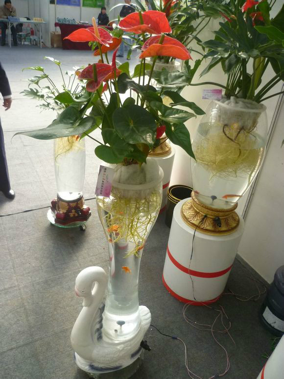 凱奇盆藝水培花瓶