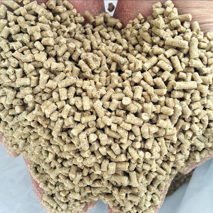 教槽料 教槽料