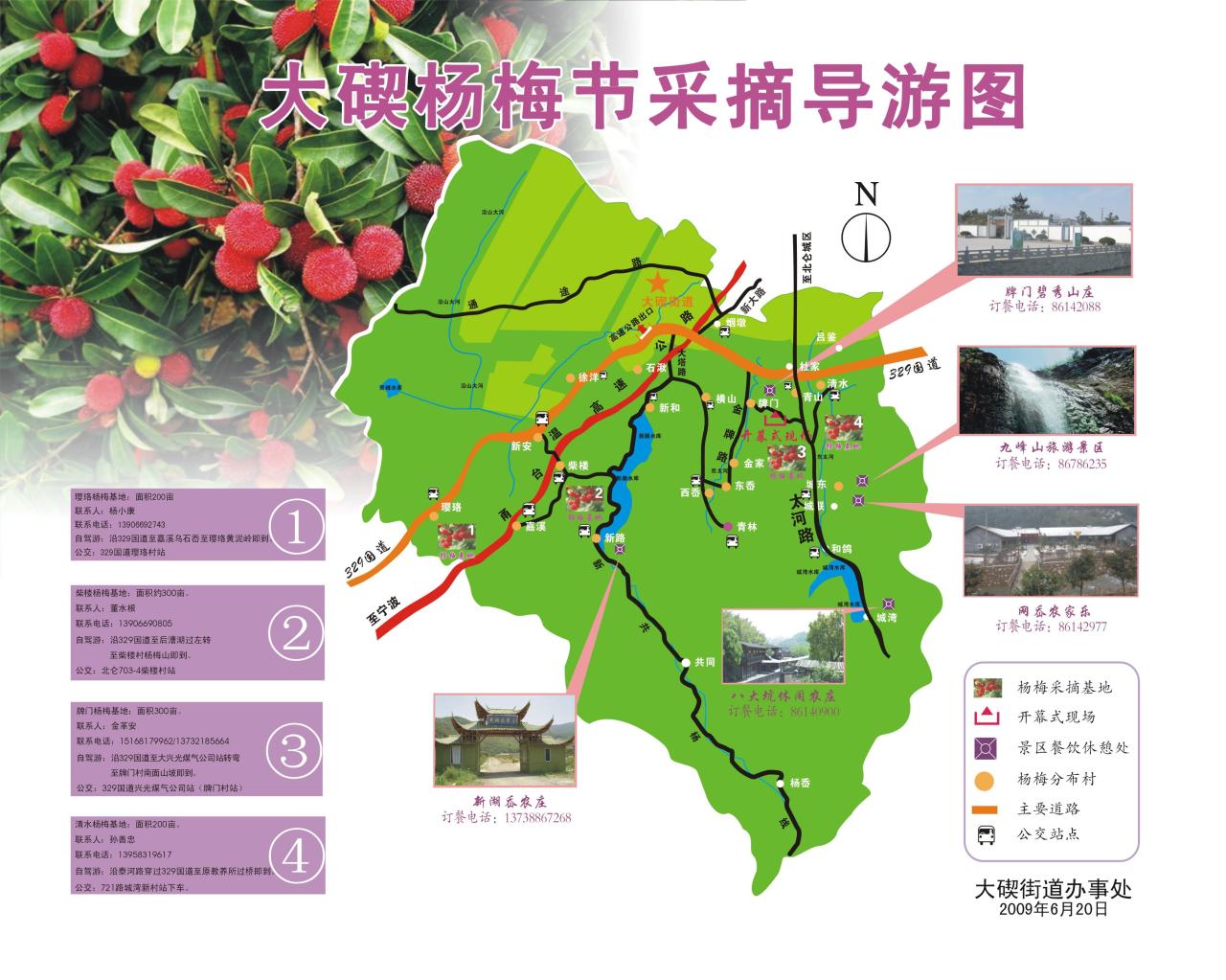 大碶鎮楊梅採摘節旅遊圖