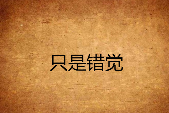 只是錯覺(小說) 只是錯覺(小說)