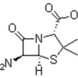 6-氨基青黴烷酸