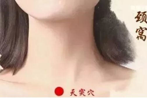 頸窩(穴位) 頸窩(穴位)
