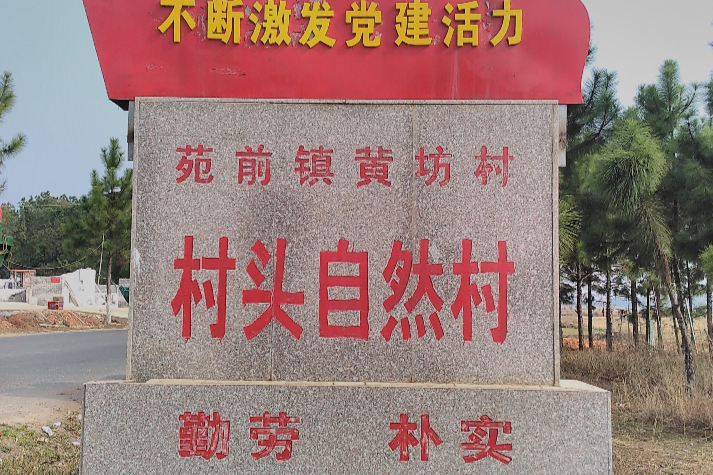 村頭村(泰和縣苑前鎮下轄村)