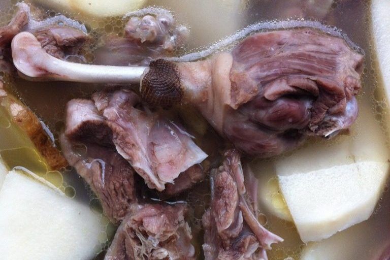 綠筍水鴨湯