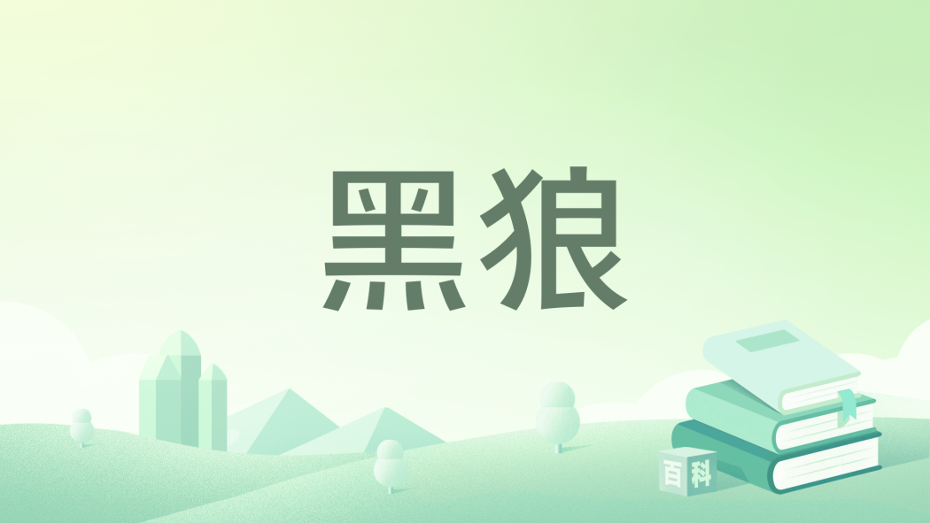 黑狼(喵老師創作的軍事類網路小說) 黑狼(喵老師創作的軍事類網路小說)