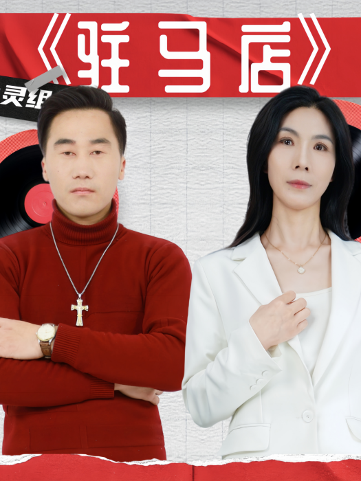 駐馬店(2025年胡彥春演唱的歌曲)