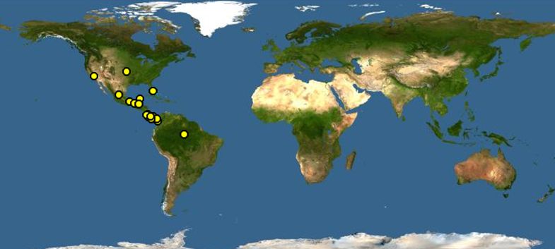 紅額亞馬遜鸚鵡分布圖