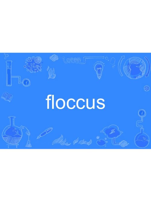 floccus floccus