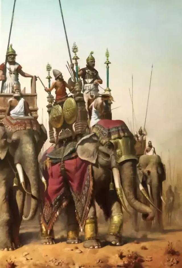 塞琉古軍隊從印度帶回來的亞洲戰象