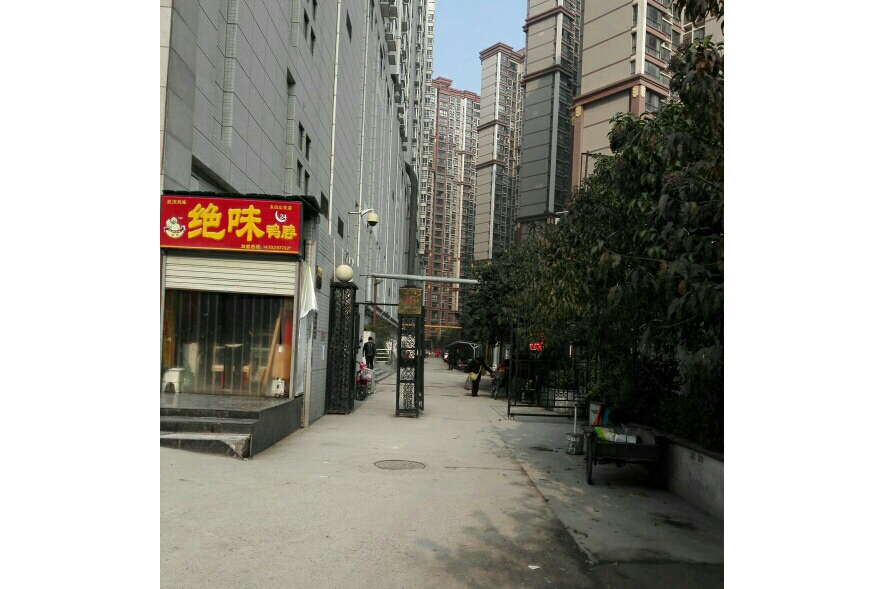 盛世太白 盛世太白