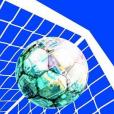 The Economics of Football(2001年Cambridge University Press出版的圖書) The Economics of Football(2001年Cambridge University Press出版的圖書)