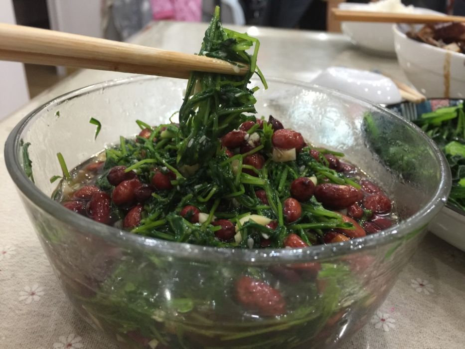 涼拌松柳苗 涼拌松柳苗