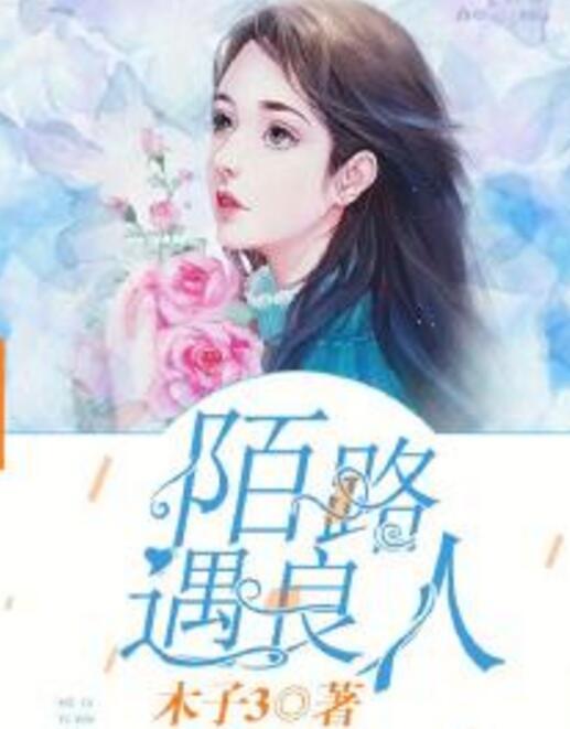 陌路遇良人 陌路遇良人