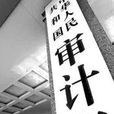 國家審計(一種法定審計)
