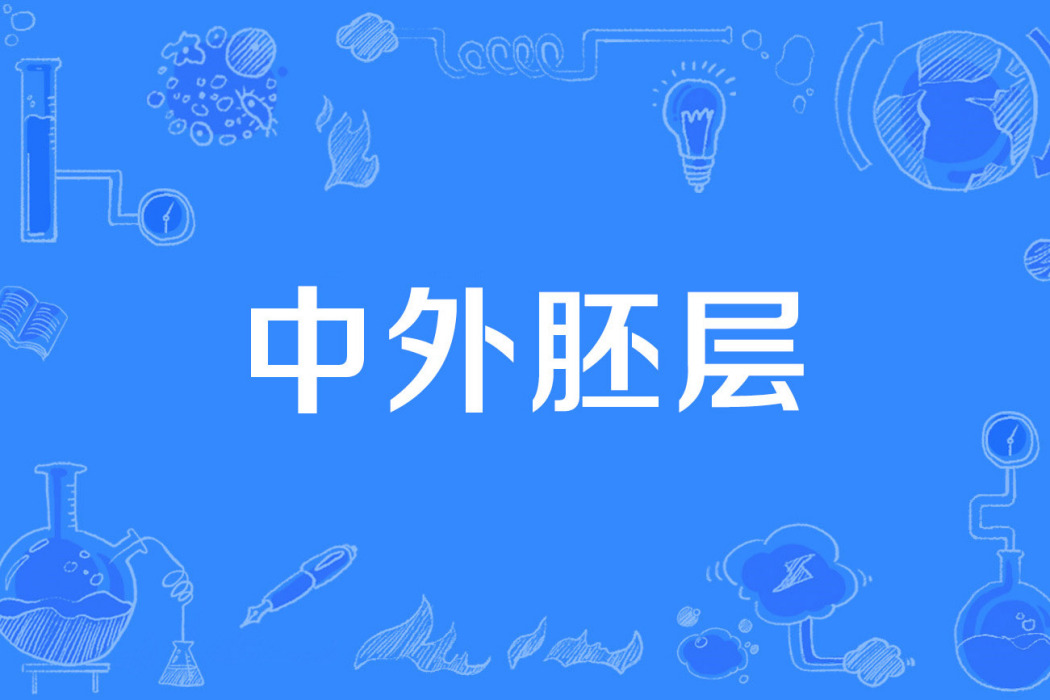 中外胚層 中外胚層
