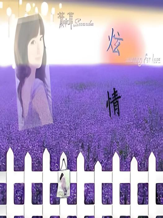 炫情 炫情