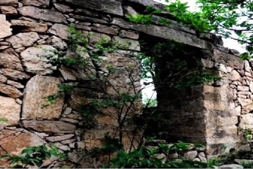 田王寨遺址 田王寨遺址