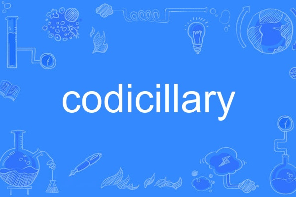 codicillary codicillary