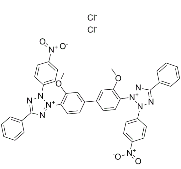 氯化硝基四氮唑藍(硝基藍四氮唑)