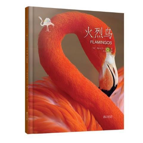 火烈鳥(2018年浙江文藝出版社出版的圖書) 火烈鳥(2018年浙江文藝出版社出版的圖書)