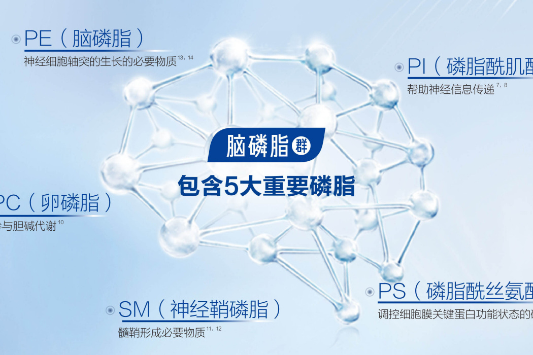 腦磷脂群 腦磷脂群