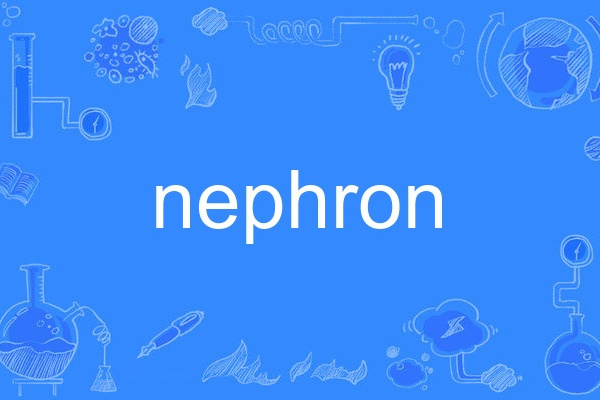nephron nephron