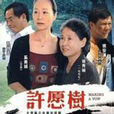 許願樹(奚美娟主演的電視劇) 許願樹(奚美娟主演的電視劇)