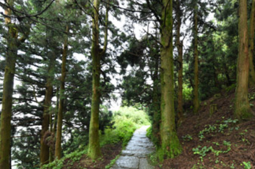 古麗城遺址 古麗城遺址