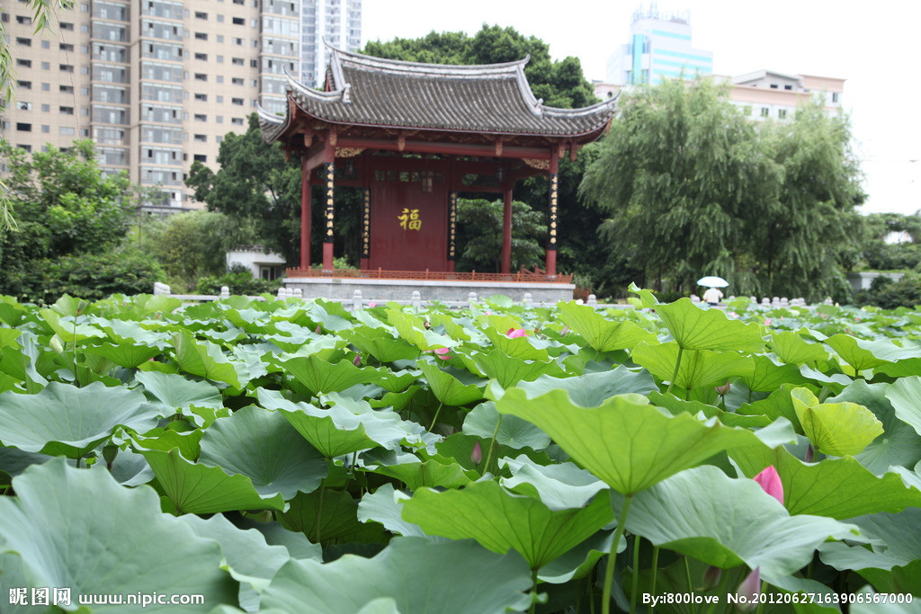 福州茶亭公園(茶亭公園（福州地名）)