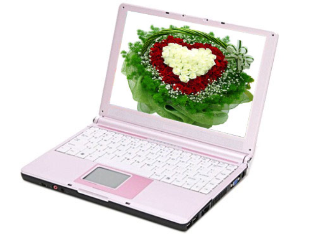 微星 MEGABOOK S271X-PK551120CB 微星 MEGABOOK S271X-PK551120CB