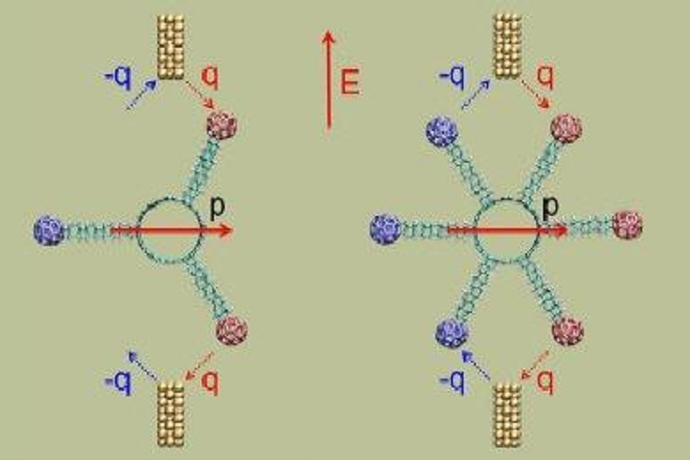 隧穿電子 隧穿電子