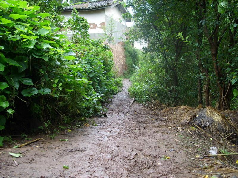 王家凹村 王家凹村