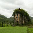 石柱觀 石柱觀