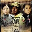 黑三角(2007年黃海波主演電視劇) 黑三角(2007年黃海波主演電視劇)