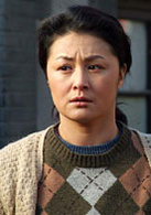 人活一張臉(2009年呂麗萍主演電視劇)