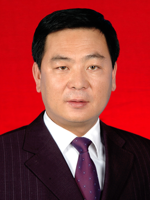 張晨(鹽池縣政府副縣長) 張晨(鹽池縣政府副縣長)