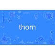 thorn(英語單詞) thorn(英語單詞)