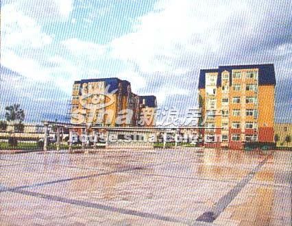 棲美國際