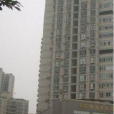 電儀村 電儀村