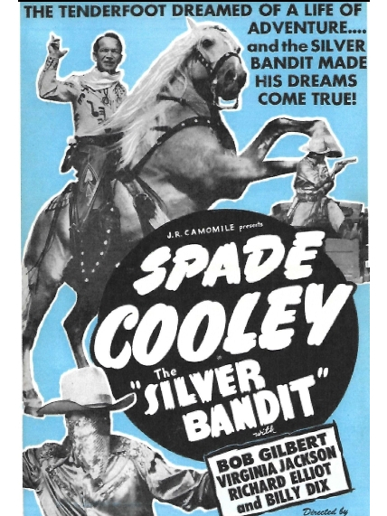 The Silver Bandit The Silver Bandit