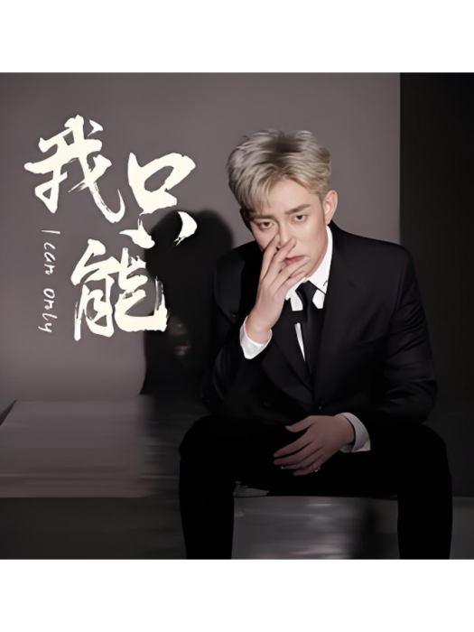 我只能(阿哲演唱的歌曲專輯) 我只能(阿哲演唱的歌曲專輯)