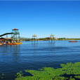鶴鳴湖濕地 鶴鳴湖濕地