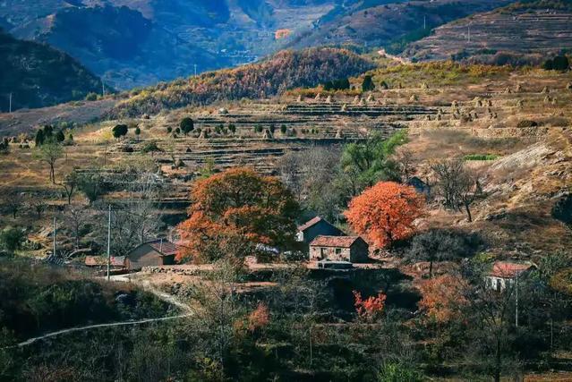 杏子山小村 杏子山小村