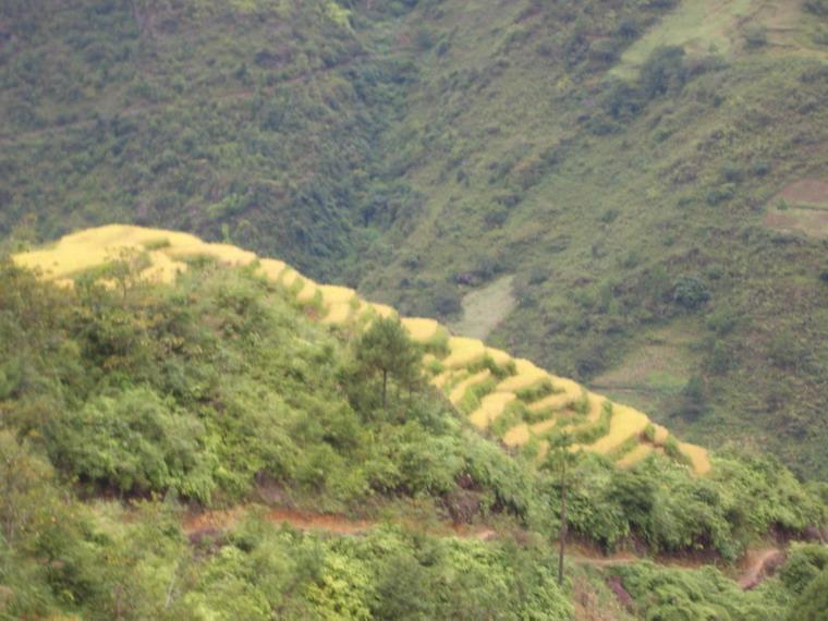 其搭安村 其搭安村