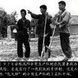 包產到戶 包產到戶